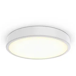 Philips Lighting 3D-LED-Leuchte TCBRLS 46S #86385900