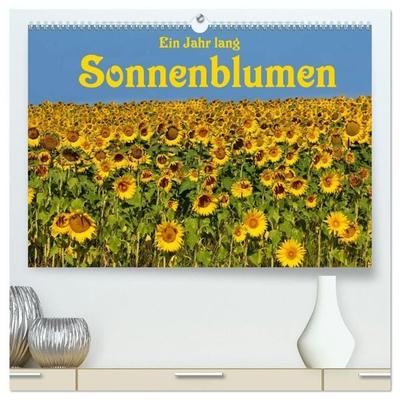 Ein Jahr lang Sonnenblumen (hochwertiger Premium Wandkalender 2027 DIN A2 quer), Kunstdruck in Hochglanz