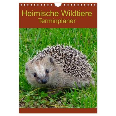 Heimische Wildtiere Terminplaner (Wandkalender 2026 DIN A4 hoch), CALVENDO Monatskalender