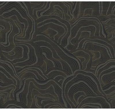Ronald Redding Geodes Black Wallpaper