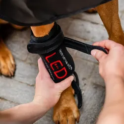 Horseware LED-Rotlicht-Therapie Haustiergamasche Schwarz