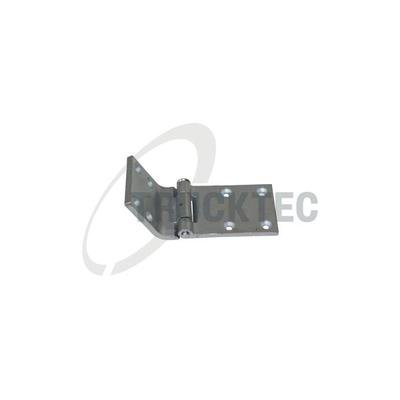 TRUCKTEC AUTOMOTIVE Türscharnier 01.53.124 unten für Mercedes