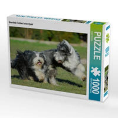 CALVENDO Puzzle Bearded Collies beim Spiel 1000 Teile Lege-Größe 64 x 48 cm Foto-Puzzle Bild von Sigrid Starick