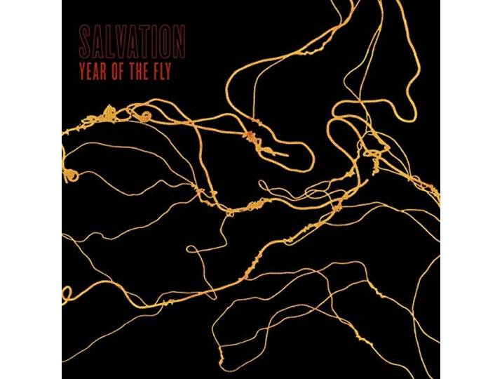 Year of the Fly