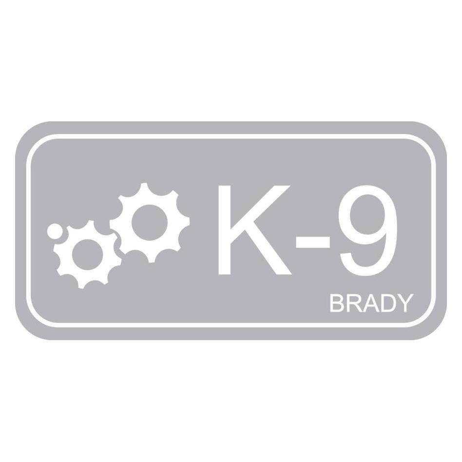 Brady B-7527, Polypropylen Schild, Energy Source Tag - Kinetic, 75 x 38mm, Grau auf Weiss, Beschrif (ENERGY TAG-K-9-75X38MM-PP/25)