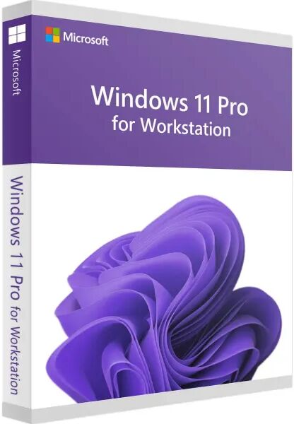 Microsoft Windows 11 Pro for Workstation