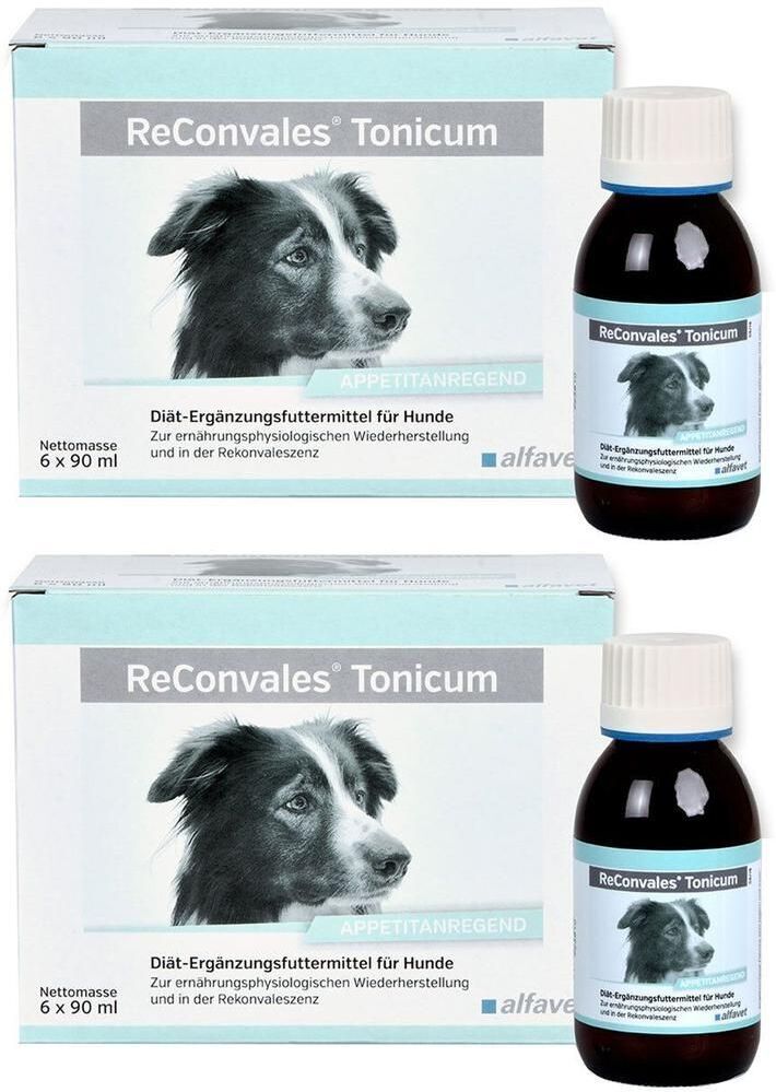 Reconvales Tonicum für Hunde 2x 2x6x90 ml Tonikum