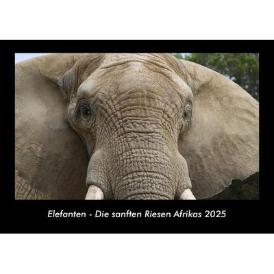 Elefanten - Die sanften Riesen Afrikas 2025 Fotokalender DIN A3