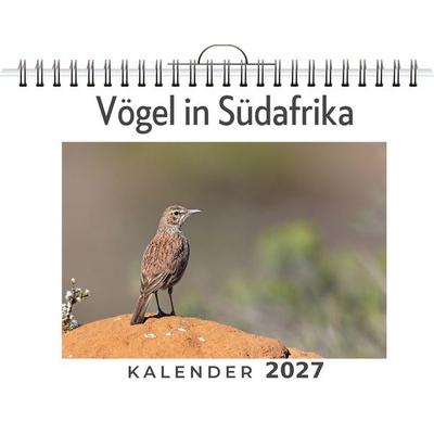 Vögel in Südafrika