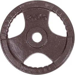 Sport-Thieme, Hantelscheiben, (1 x 20 kg)
