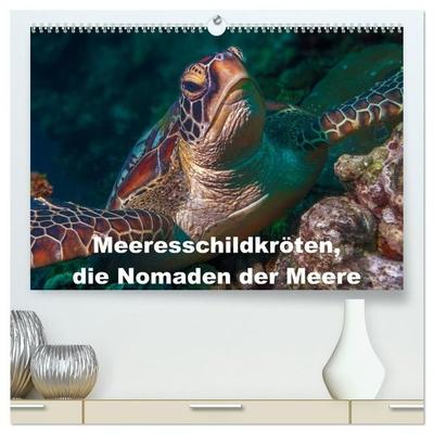 Meeresschildkröten, die Nomaden der Meere (hochwertiger Premium Wandkalender 2027 DIN A2 quer), Kunstdruck in Hochglanz