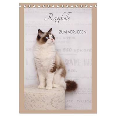 Ragdolls zum Verlieben (Tischkalender 2026 DIN A5 hoch), CALVENDO Monatskalender