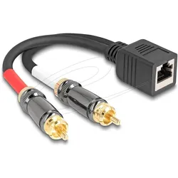 Delock Adapterkabel RJ45 Buchse zu 2 x Cinch Stecker schwarz 20 cm (88172) (Winkeladapter), Audio Adapter, Schwarz