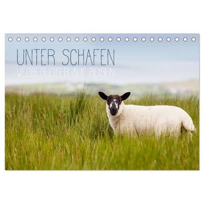 Unter Schafen - Wegbegleiter auf Reisen (Tischkalender 2026 DIN A5 quer), CALVENDO Monatskalender
