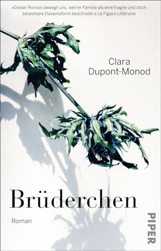 Clara Dupont-Monod - Brüderchen: Roman »Eine zarte, zerbrechliche Familiengeschichte.« Christine Westermann - Preis vom 11.10.2026 15:43:13 h