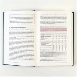 Intelligent Vermögen schützen, Ratgeber von Gerd Kommer, Felix Grossmann