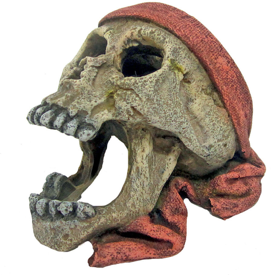AMTRA Teschio Pirata con Bandana 1 PZ