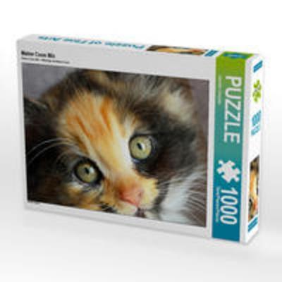 CALVENDO Puzzle Maine Coon Mix 1000 Teile Lege-Größe 64 x 48 cm Foto-Puzzle Bild von Jennifer Chrystal