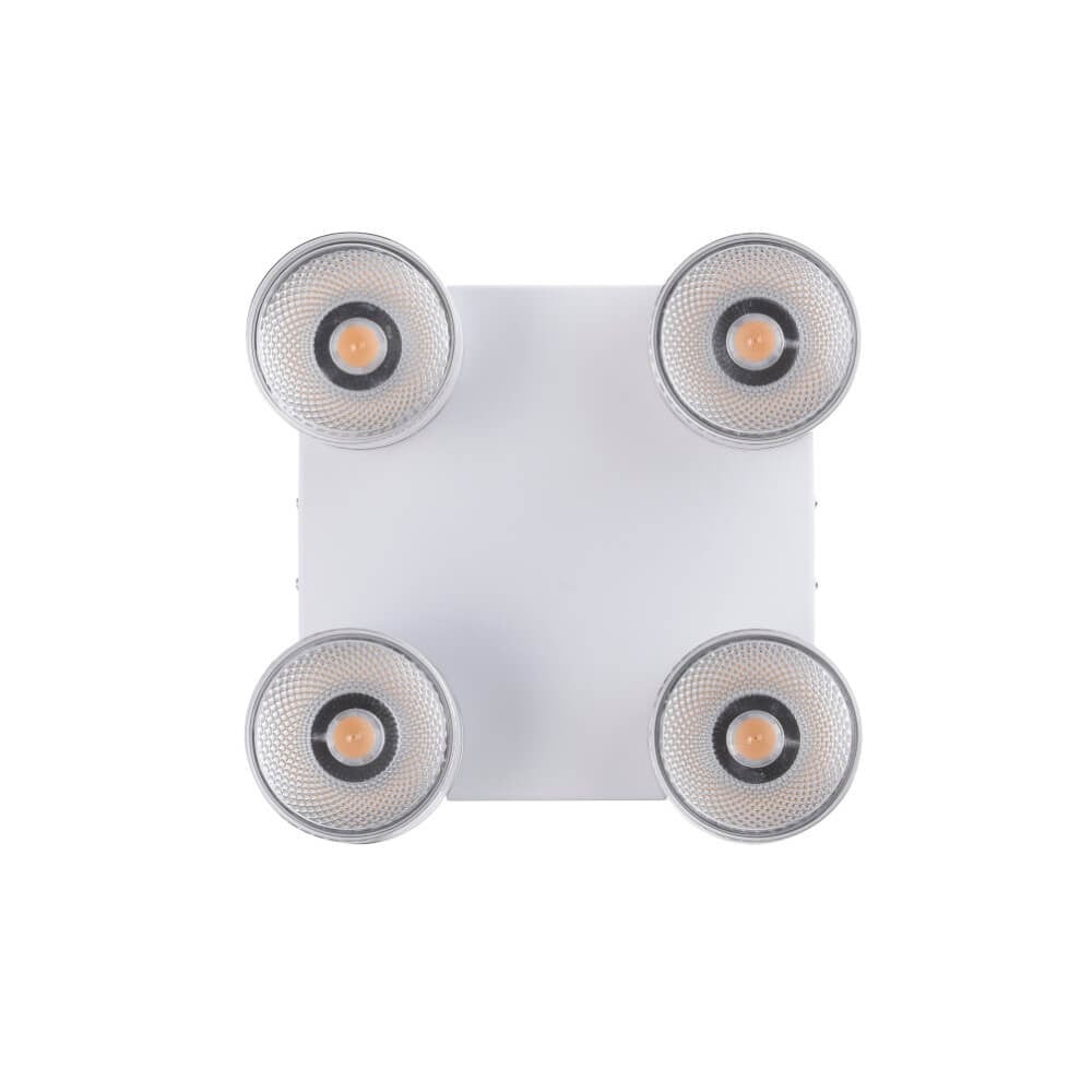 Paul Neuhaus Pure Nola Witte Plafondlamp met 4 Lichtpunten