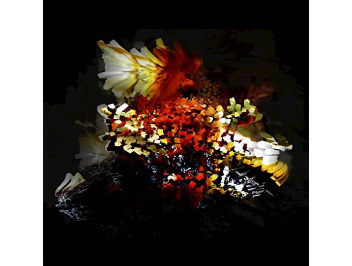The Bullnose Step Ep