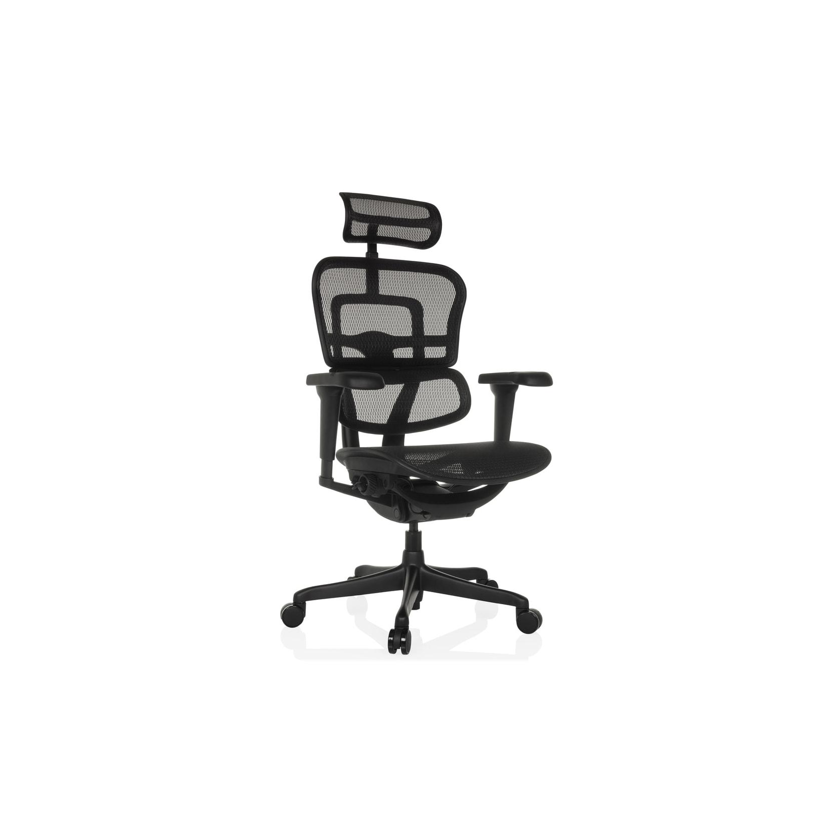 hjh OFFICE Luxus Chefsessel ERGOHUMAN SIGNATURE GEN2 Netzstoff mit Armlehnen (höhenverstellbar)