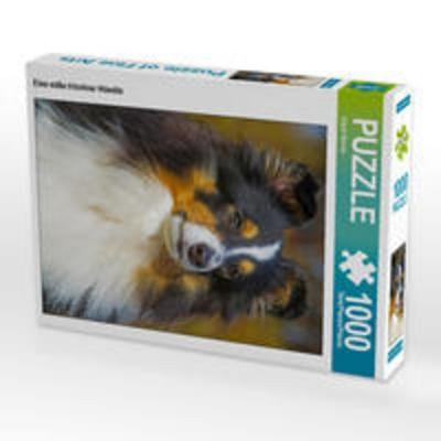 CALVENDO Puzzle Eine süße tricolour Hündin 1000 Teile Lege-Größe 48 x 64 cm Foto-Puzzle Bild von Sigrid Starick