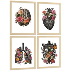 POSTER Set aus 4 Anatomie Drucke und Dekorative mit Gehirn Herz Lungen Atmungssystem Rippen Wirbelsäule Modernes Florales Größe Leichter Holzrahmen A4