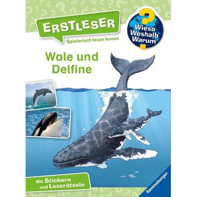 Wieso? Weshalb? Warum? Erstleser, Band 3 - Wale und Delfine, Gebundene Ausgabe von Sandra Noa, Ravensburger Verlag GmbH, 978-3-473-60002-1