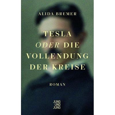 Tesla oder die Vollendung der Kreise, Gebundene Ausgabe von Alida Bremer, Jung u. Jung, 978-3-99027-286-2