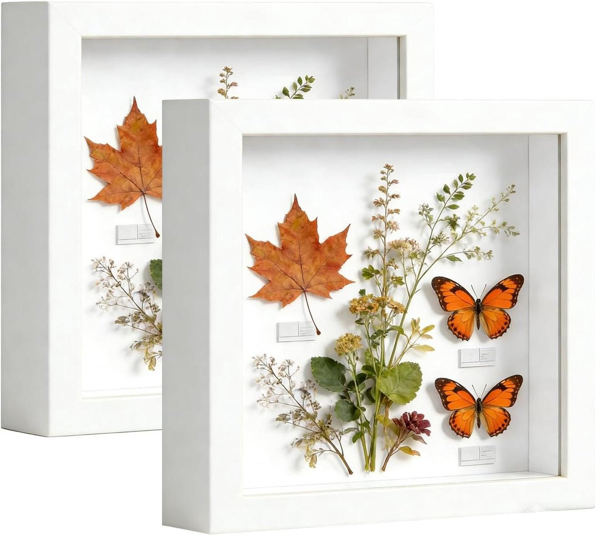 Wit Invulbare Objectlijst met Transparant Acrylfront voor DIY Kunstwerken - 25 x 25 cm
