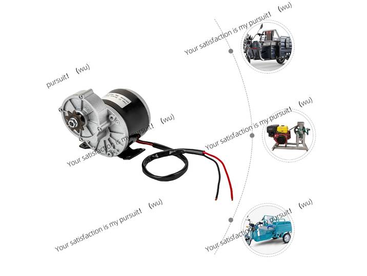Moteur à engrenages MY1016Z 250W 12V, moteur électrique à courant continu brossé pour vélo électrique 2750 tr/min