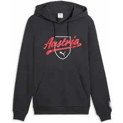 ÖFB Herrenfußballpullover Culture Hoody - grau / L