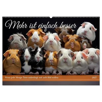 Mehr ist einfach besser (Wandkalender 2027 DIN A2 quer), CALVENDO Monatskalender