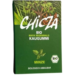 Kaugummi - Mint