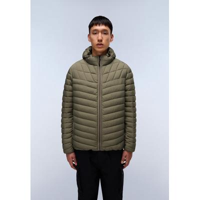 Steppjacke NAPAPIJRI "LAPAZ", Herren, Gr. M, grün (tea leaf), Obermaterial: 100% Polyamid, Jacken Steppjacke, mit Reißverschluss über die gesamte Länge