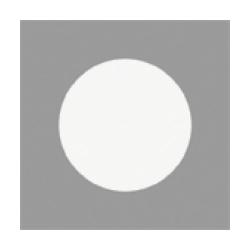 Rayher Motivlocher Kreis (69028000)