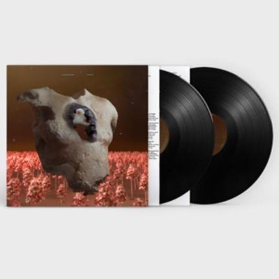 Torso - Soap & Skin, Vinyl