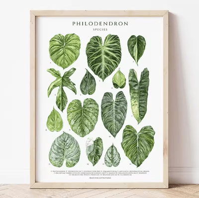 Inspire Picks Green Botanical Leaves Canvas Wall Art Calming Nature Houseplant Decor 1 40x60cm