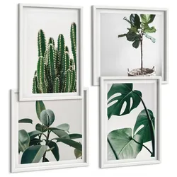 BILDER SET 4er Set - 50x50 cm & 40x60 cm Weißer Rahmen - Ästhetik tropischer Pflanzen