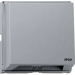 Gira Adapterrahmen 116365