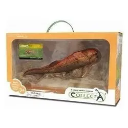 Collecta Gesammelte Surinkta Dunkleosteus-Figur In Box (Deluxe)