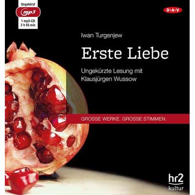 Erste Liebe - Iwan Turgenjew, Audio, 9783862318742