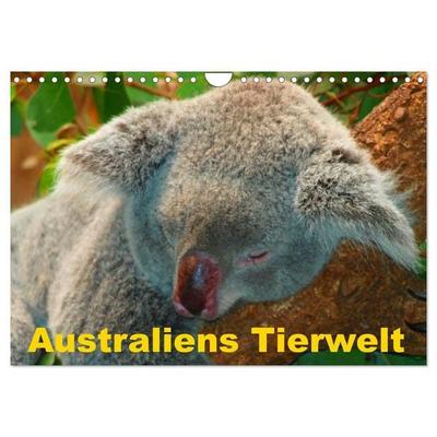 Australiens Tierwelt (Wandkalender 2027 DIN A4 quer), CALVENDO Monatskalender