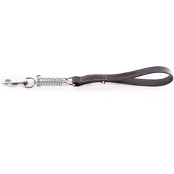 Martin Sellier Amor 499 (25, 50, Hund, Allgemein, Spazieren), Halsband + Leine