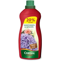 Chrysal Hortensien & Azaleen Flüssigdünger - 1200 ml