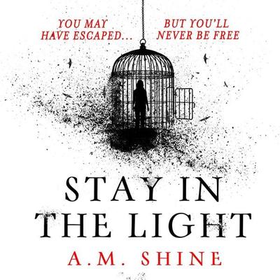 Stay in the Light - A.M. Shine, Audio, 9781035908431