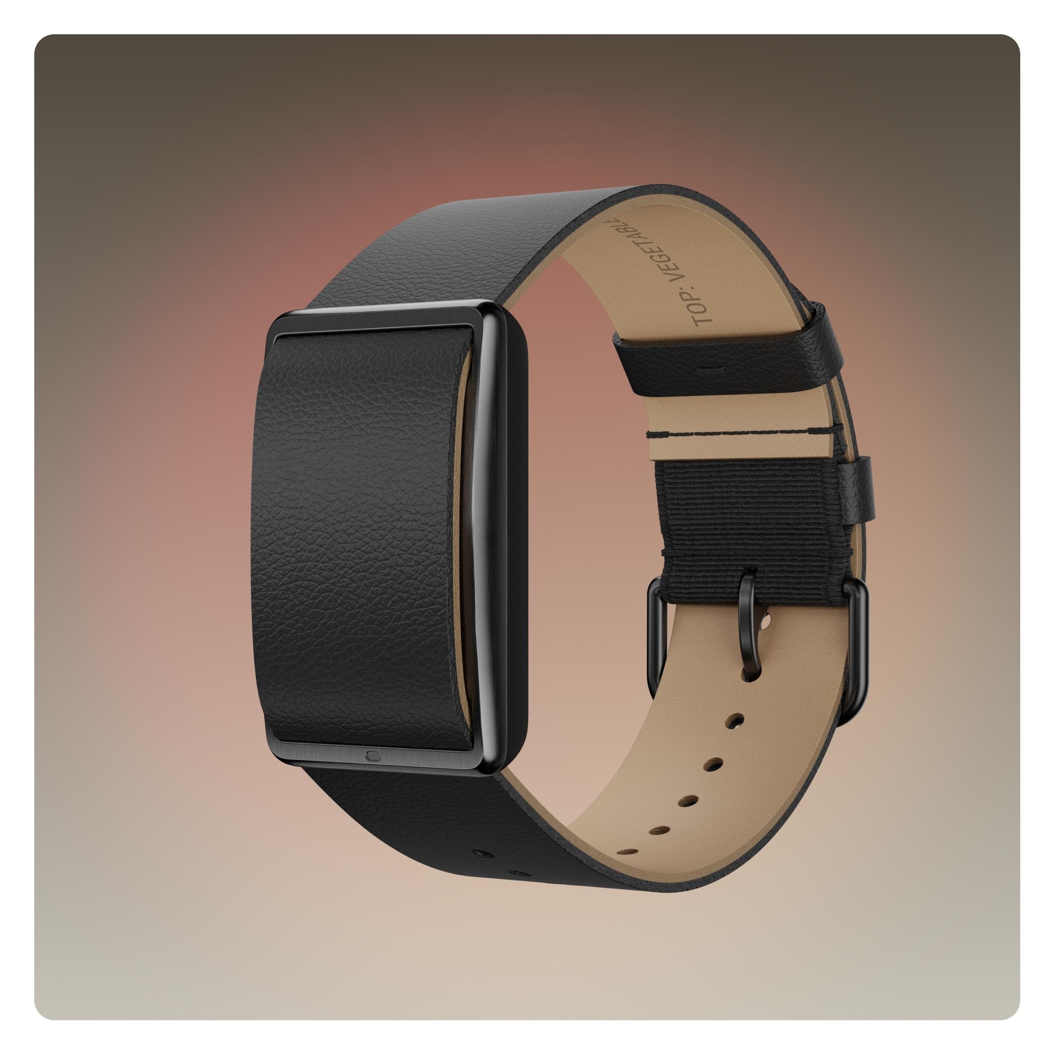 Polar WB Loop (Gen.2) (910121272)
