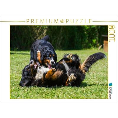 CALVENDO Puzzle Berner Sennenhunde beim Spiel | 1000 Teile Lege-Größe 64x48cm Foto-Puzzle für glückliche Stunden