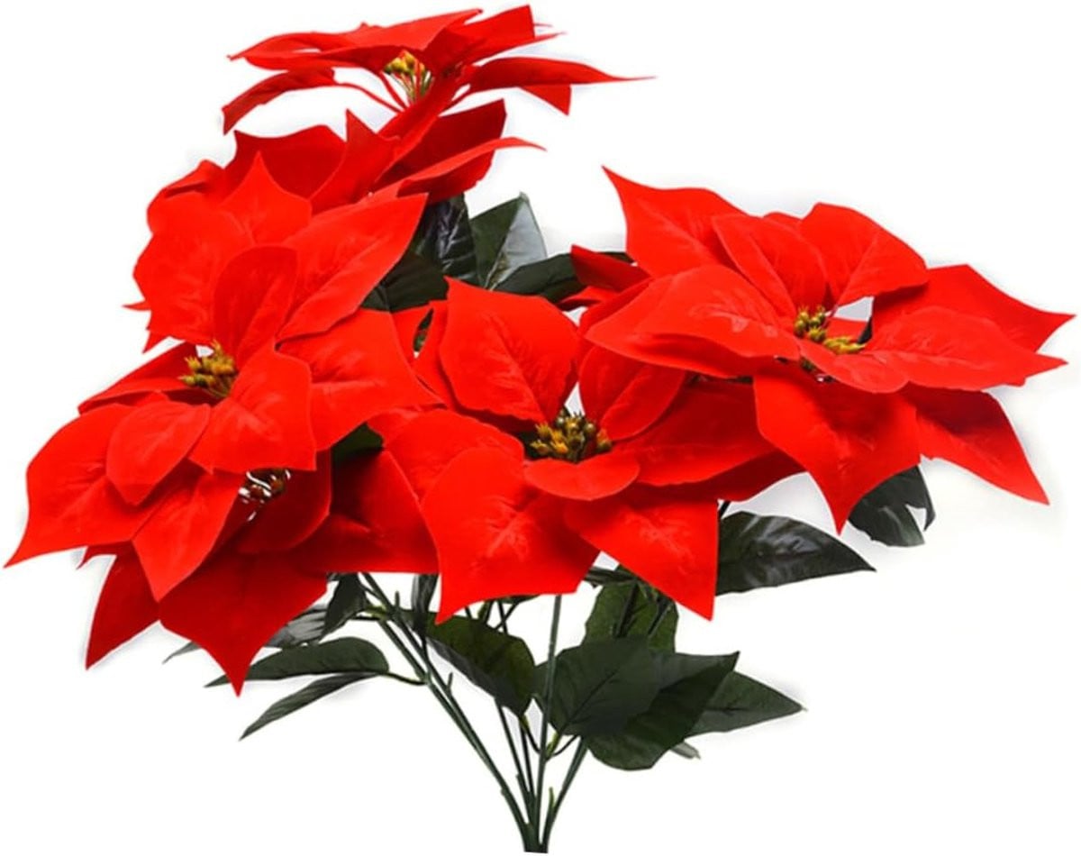 Kunstbloemen Set Kerstster Decoratie Rood - 23 x 23 x 23 cm