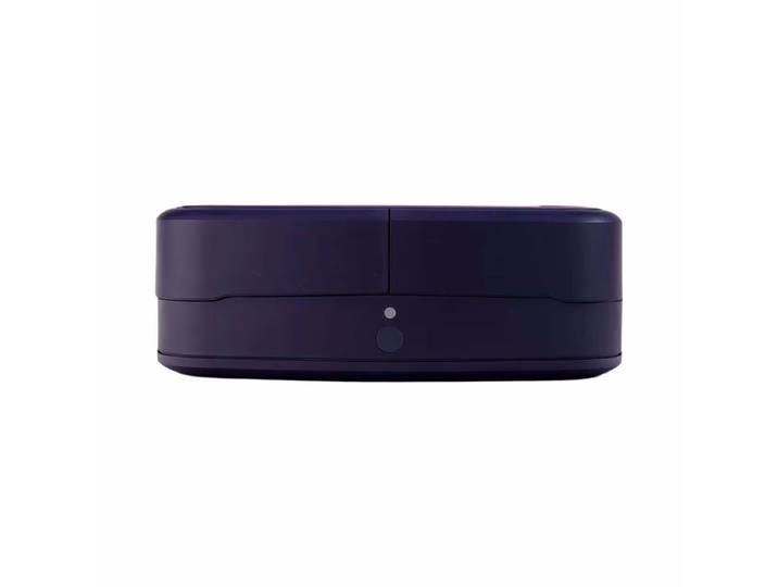 Steasy Purple Ginger Mini-Steamer – Vorratsbehälter – violett